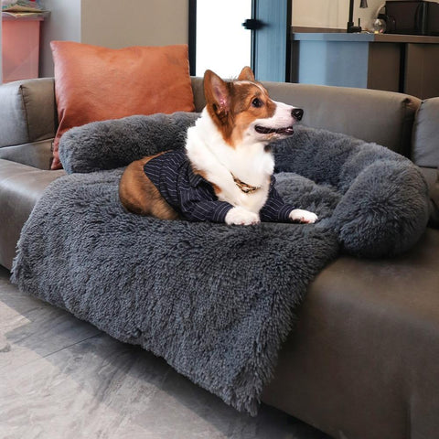 Canapé-lit apaisant pour chien