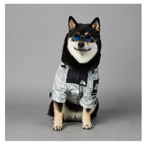 Veste visage de chien