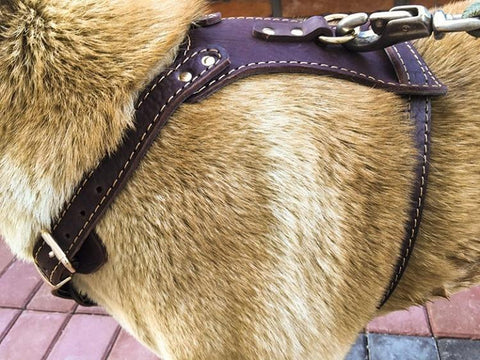 Large Leather Dog Harness