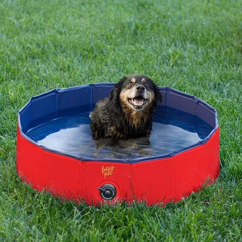 Dog swimming pool