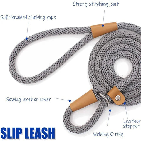 Slip lead for dog