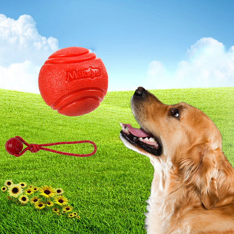 Dog ball on rope