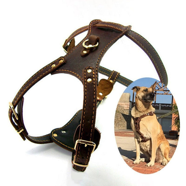 Leather Dog Harness for Large Dogs 1