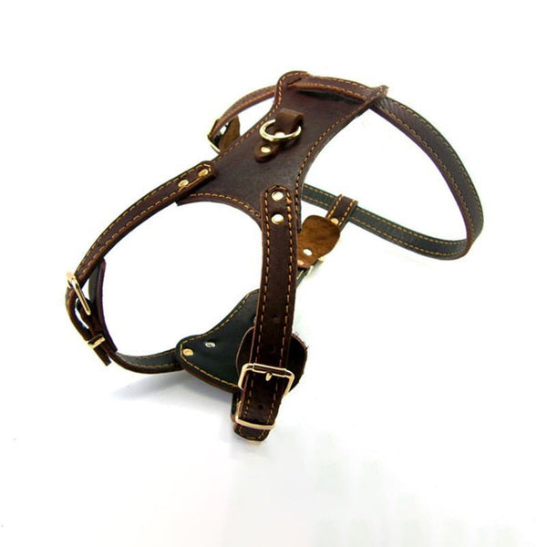 Leather Dog Harness for Large Dogs 3