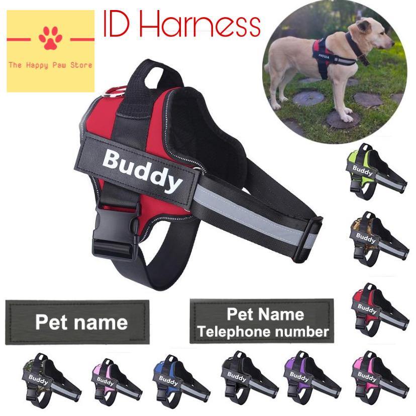 No-Pull Adventure Harness – PetBright