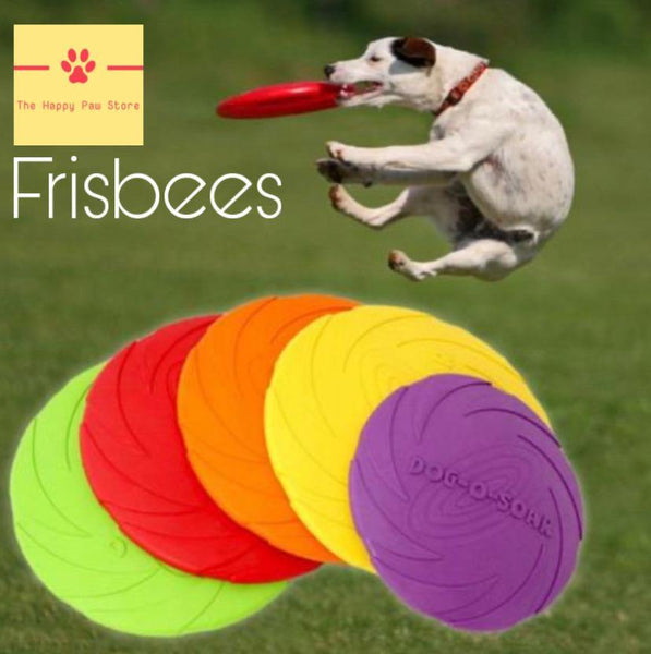 Pet Frisbee 0