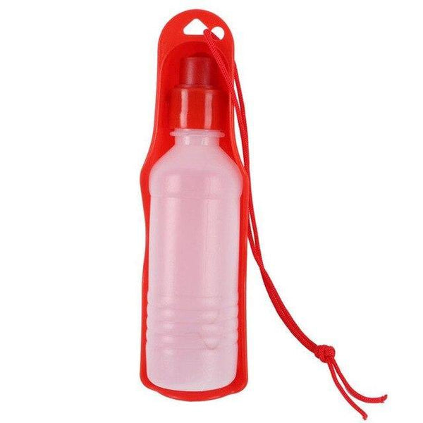 Pet Water Bottle 2