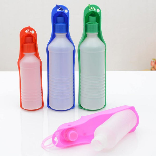 Pet Water Bottle 5