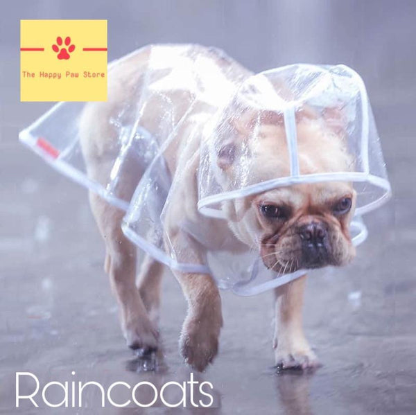 Raincoat with Hood 1