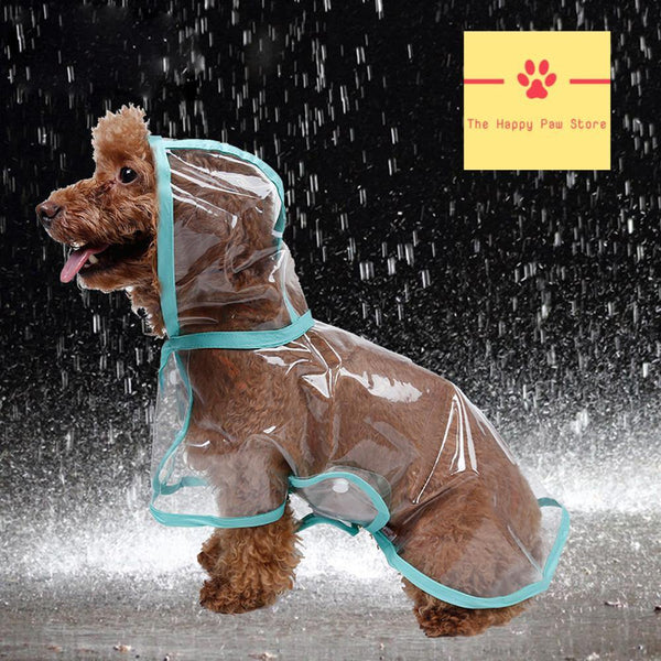 Raincoat with Hood 5