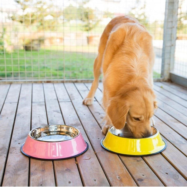 Stainless Steel Dog Bowls 3