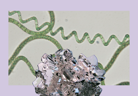 The crystalline structure of a Magnesium molecule.