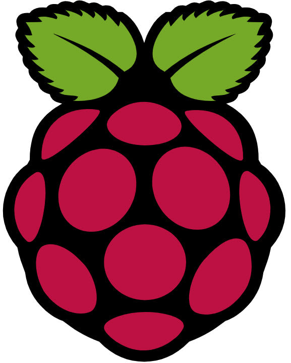 Raspberry Pi - Mã hàng phổ biến — Nguyên Xương