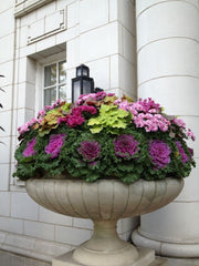 colorful flower pot