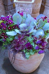 SPRUCE UP YOUR OUTDOORS WITH FALL CONTAINER GERDENING | Creative Living