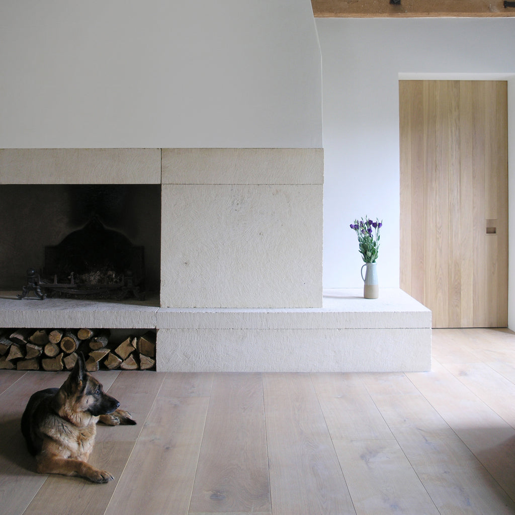 dog and fireplace