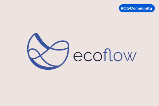 Case Study: EcoFlow and One Good Card's Sustainability Impact - One Good Card | Smart Digital Name Card