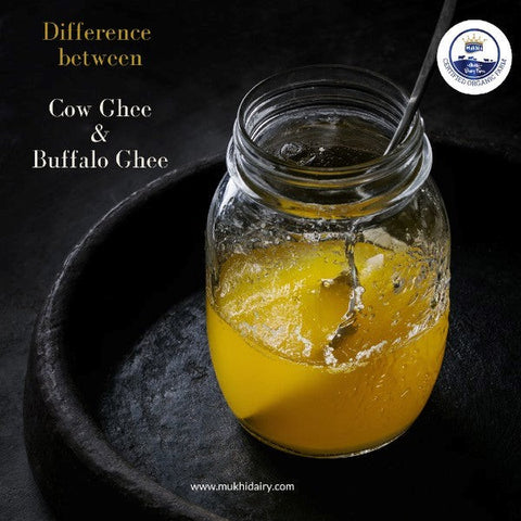 Difference between cow ghee and buffalo ghee