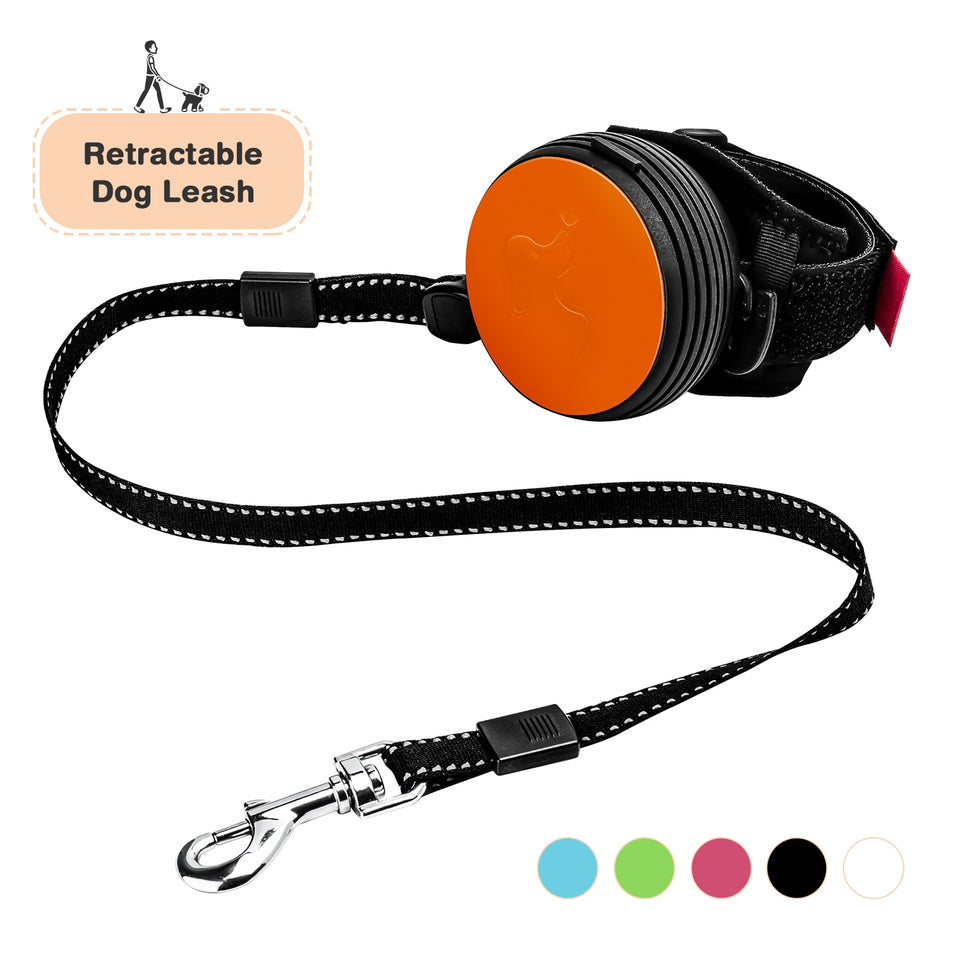 handsfree dog leash