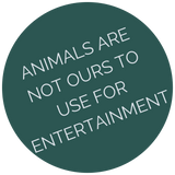 Animals are not ours to use for entertainment PETA