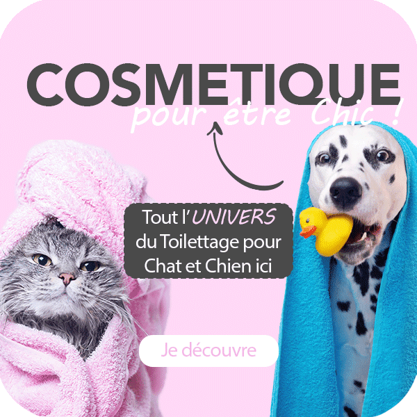 Chats Nos Chiens Animalerie En Ligne Chats Nos Chiens Animalerie En Ligne