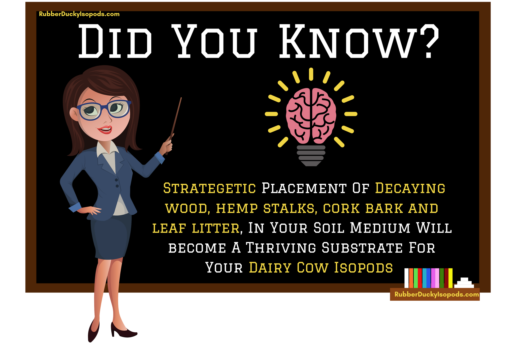 Dairy Cow Isopods Infographic #1