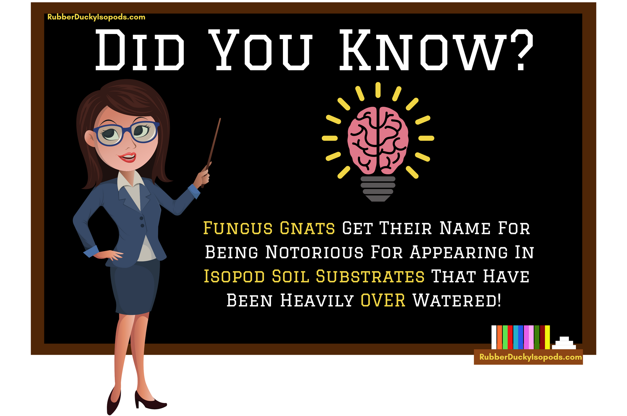 Over Watering Isopod Soil Substrate Infographic