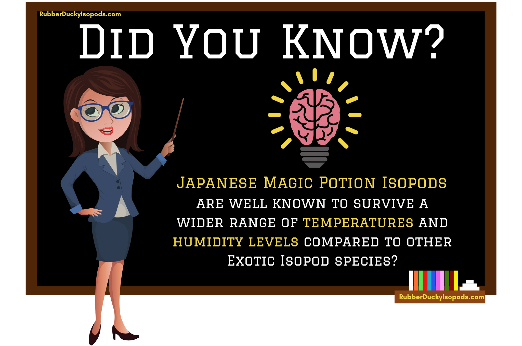 Japanese Magic Potion Isopods Infographic (Temperature & Humidity)