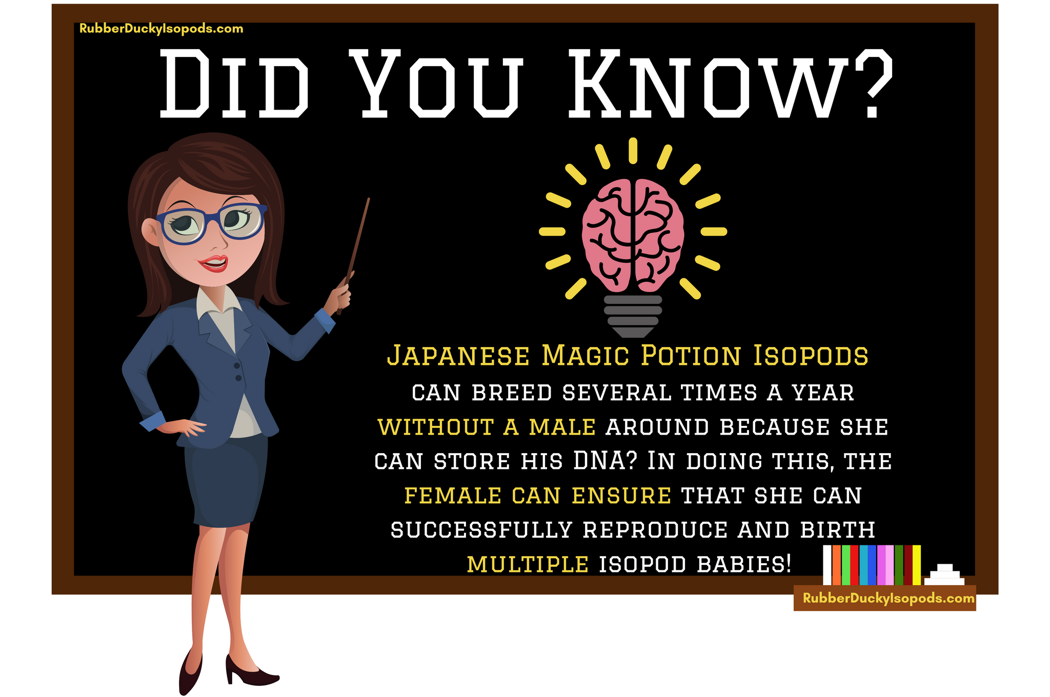 Japanese Magic Potion Isopods Infographic