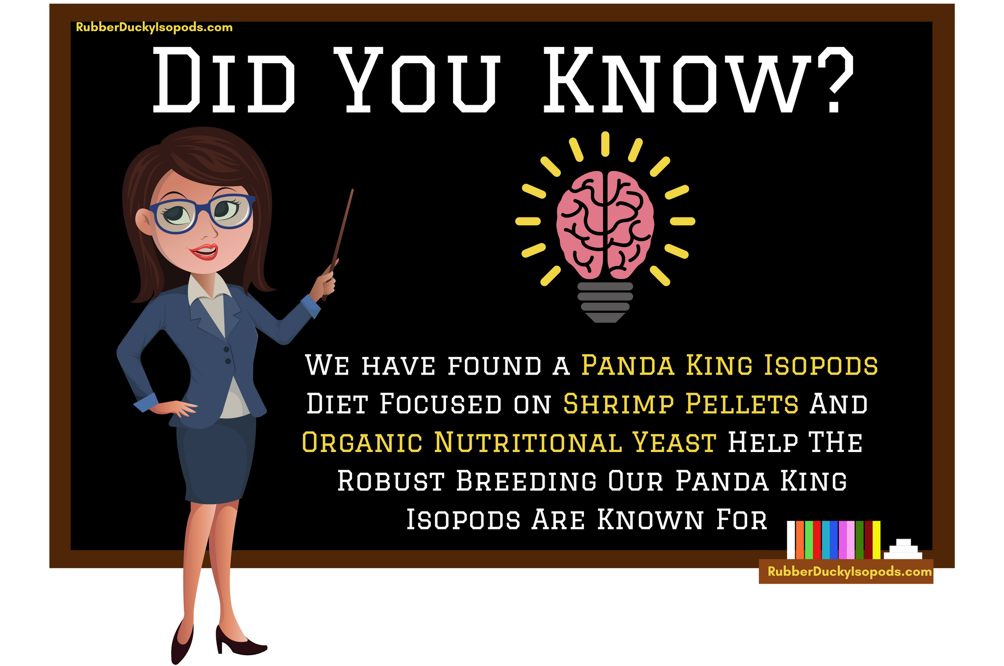 Panda King Isopods Diet Infographic