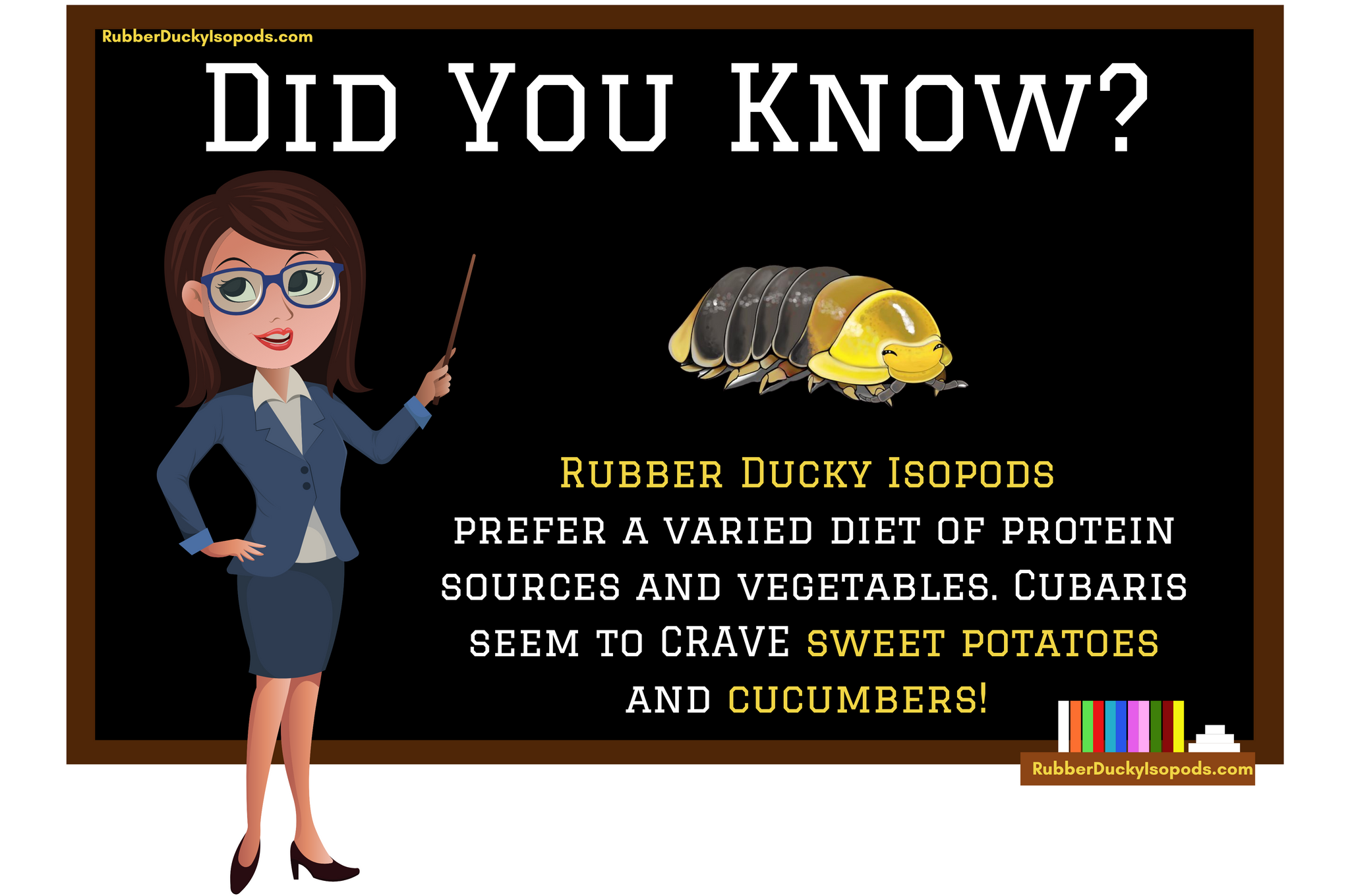 Rubber Duckies Isopods Infographic (Diet)