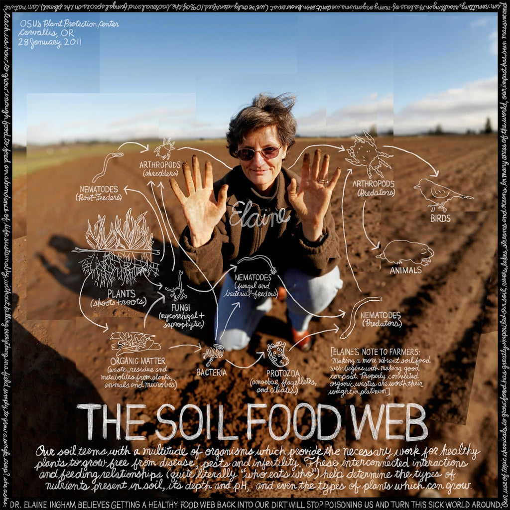 Dr. Elaine Ingham Soil FoodWeb Inventor