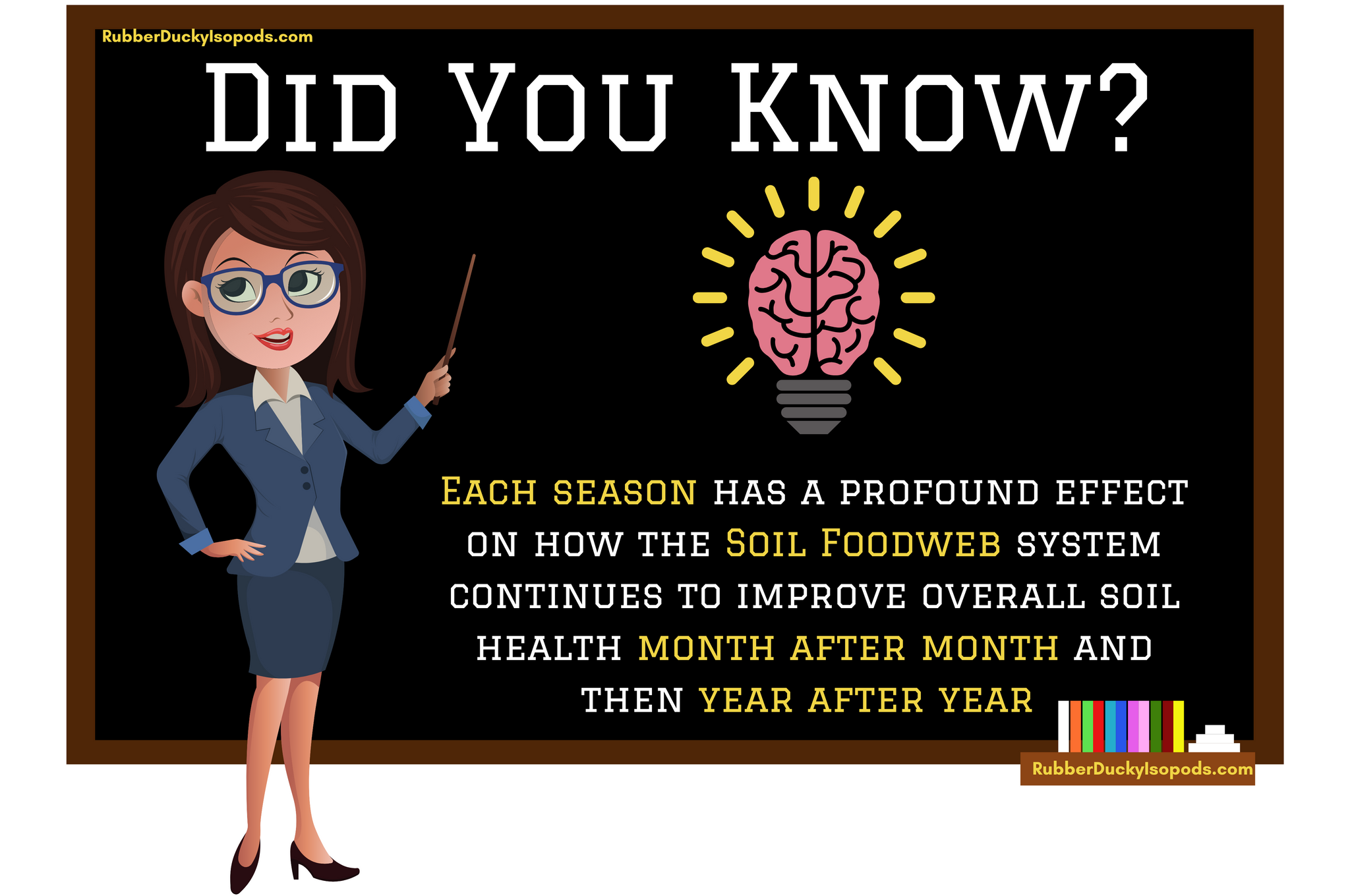 What do Isopods eat infographic? (Seasons for Isopods)