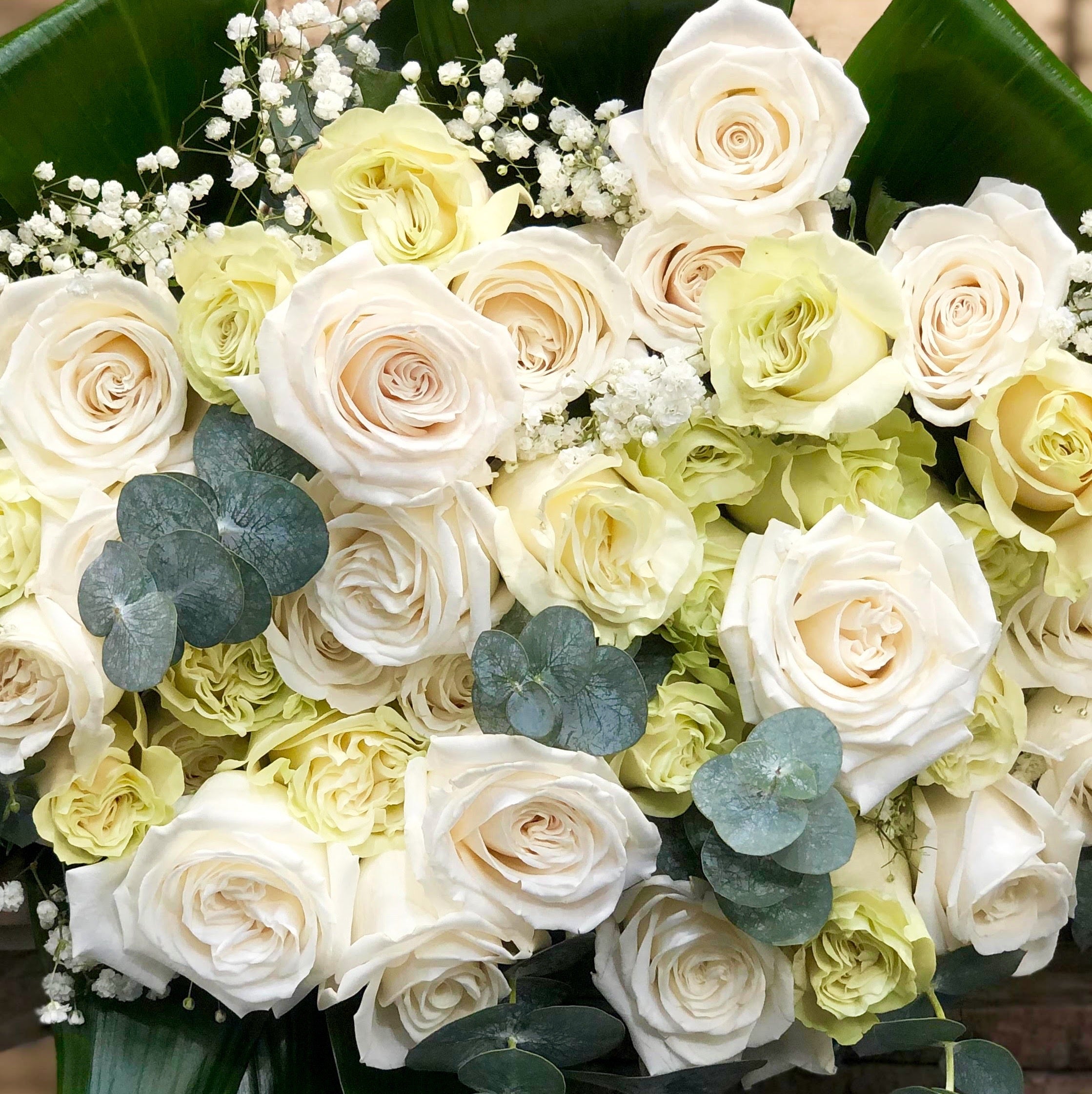 12 Roses Blanches – Fleuriste Centre Ville