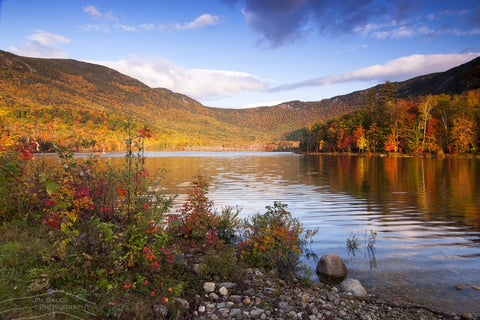 Evans Notch, NH