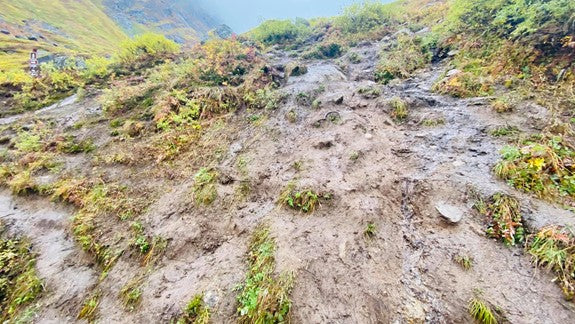 Trail Erosion from over populated hiking trails