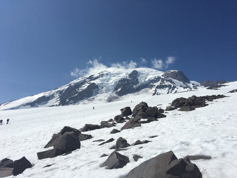 Views from Mt. Rainer