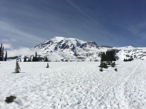 Mountain Hike View