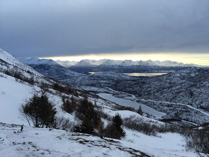 winter landscape