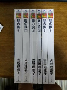 Keppeki Danshi Aoyama kun 1-13 Manga complete set clean freak germaphobe  Japan