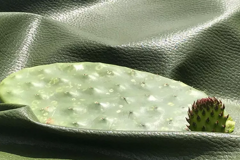 Cactus Leather Bag