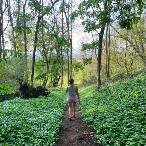 Lucy walking through the woods