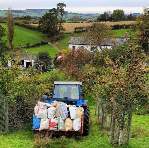 Halstow Farm Gray's Cider 