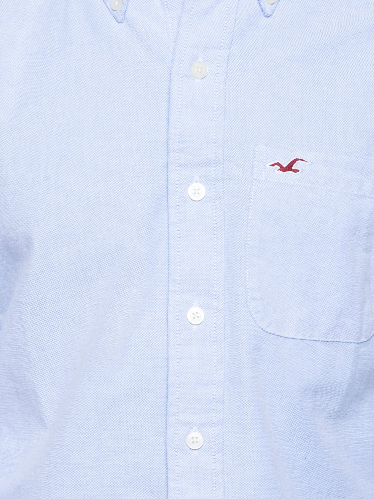 Hollister Men Light Blue Solid Shirt 