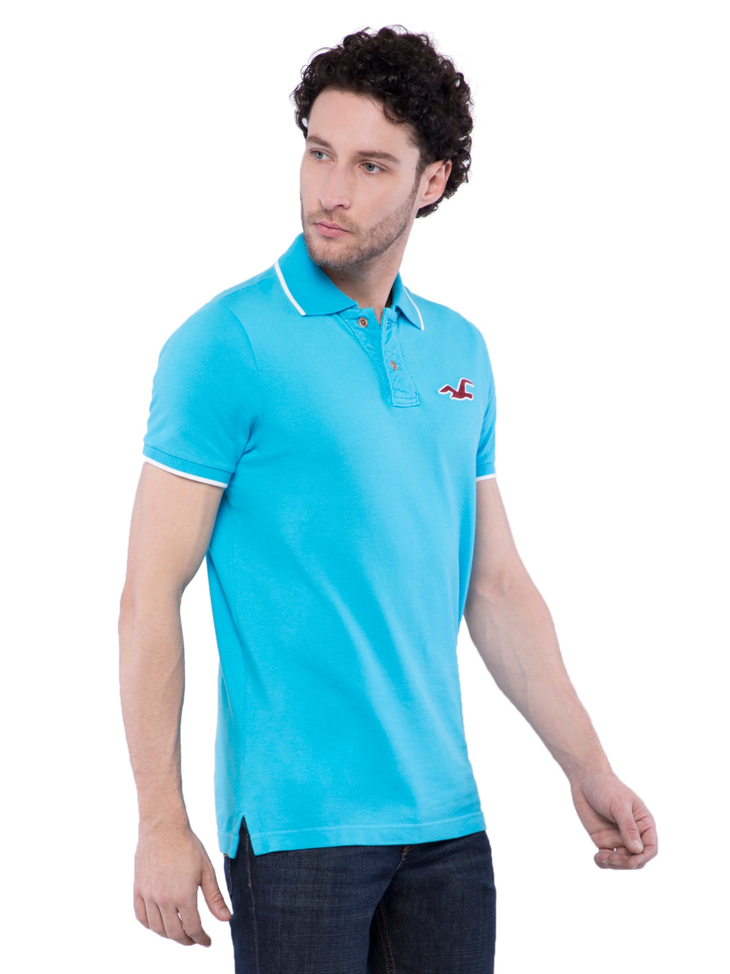 hollister mens polo