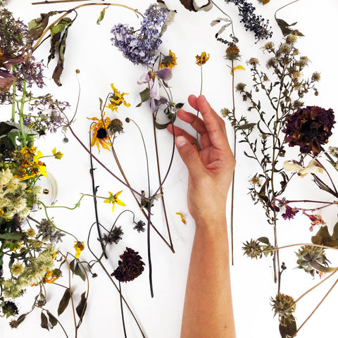 Photo with hand with dried flowers by artist CreativeIngrid | Ingrid Sanchez. London 2018.