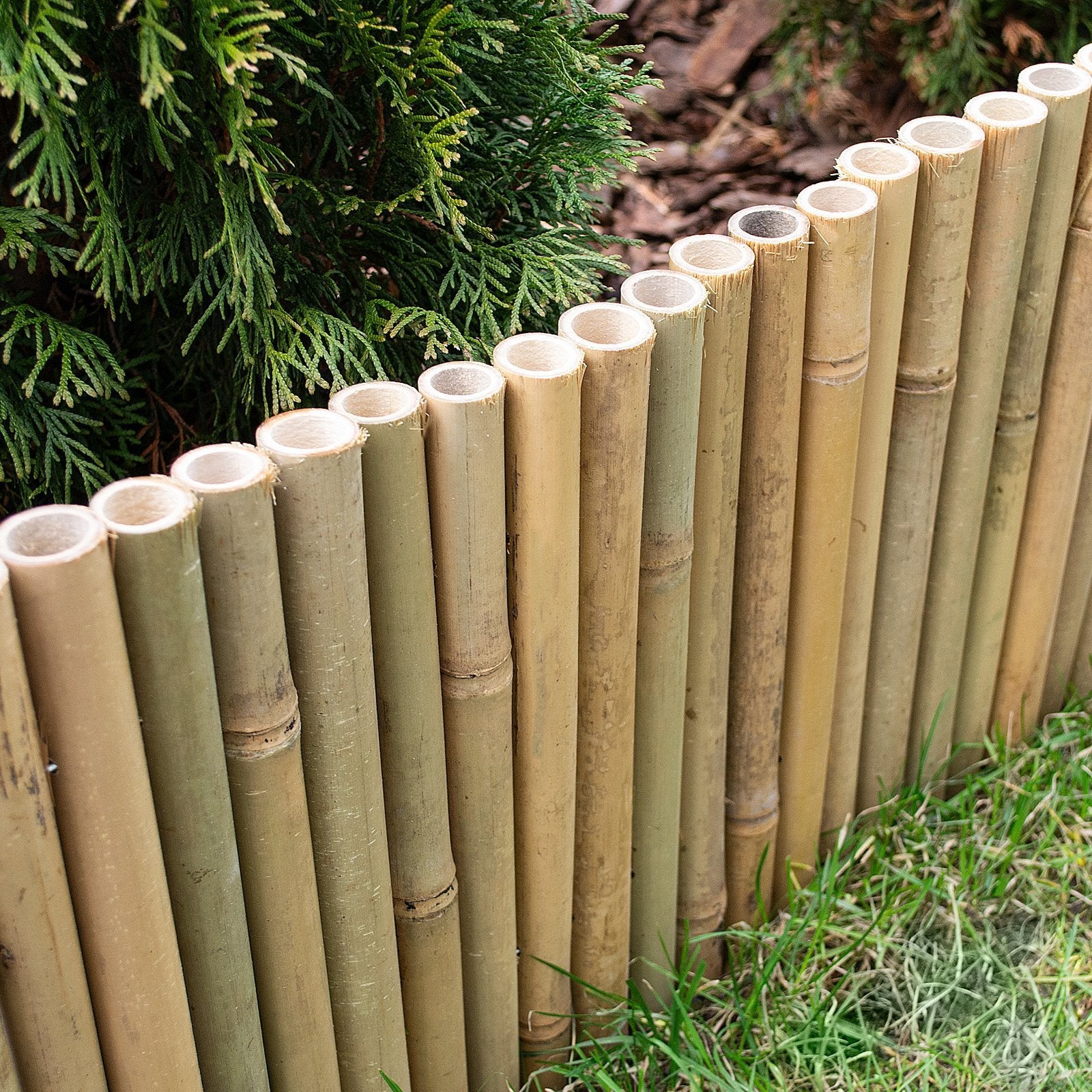 PapoeaNieuwGuinea Leeds Reageren Bamboe borderrol | verschillende maten — NL Floordirekt