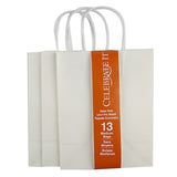 michaels all paper bags.  eco friendly gift bag.  gift bags that can be recycled