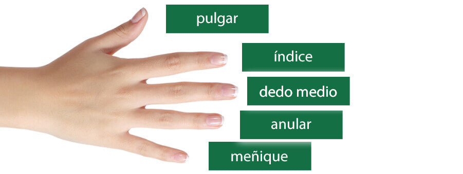 Significado de los anillos en los dedos | Nacva