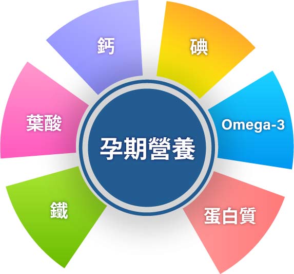 孕期六大營養素，葉酸、鐵質、蛋白質、鈣質、DHA、碘 - 紫金堂澳洲